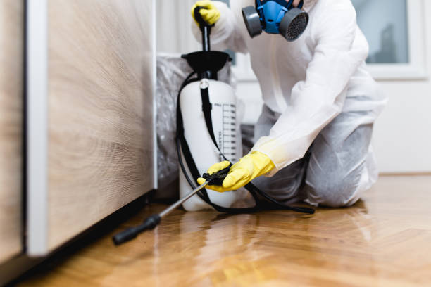 Pest Prevention Services in Day Heights, OH