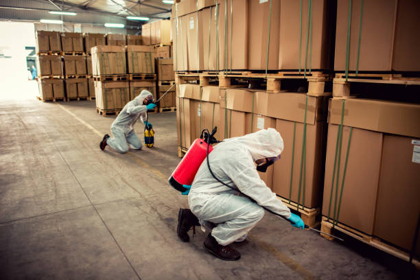 Best Cockroach Control Services  in Day Heights, OH