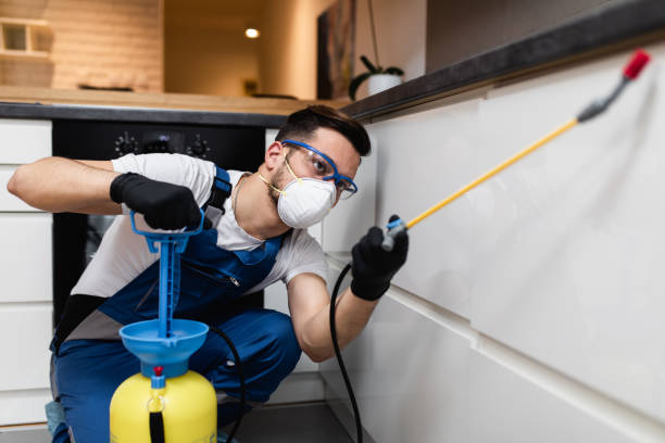 Best Cockroach Control Services  in Day Heights, OH