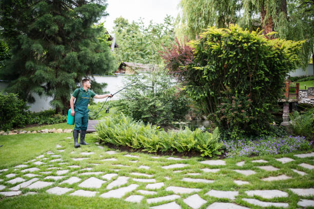 Best Ant Control Services  in Day Heights, OH