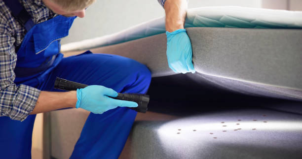 Best Bed Bug Extermination  in Day Heights, OH